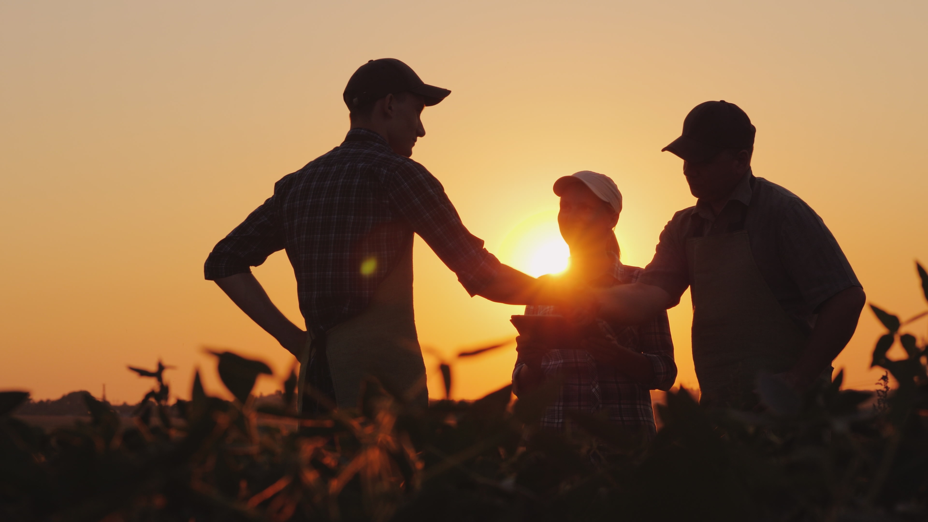 farmers talking with sun background