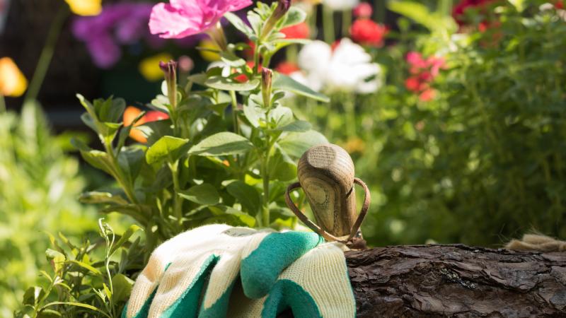 gardening with glove