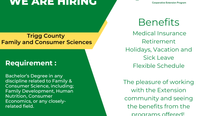 we are hiring flyer