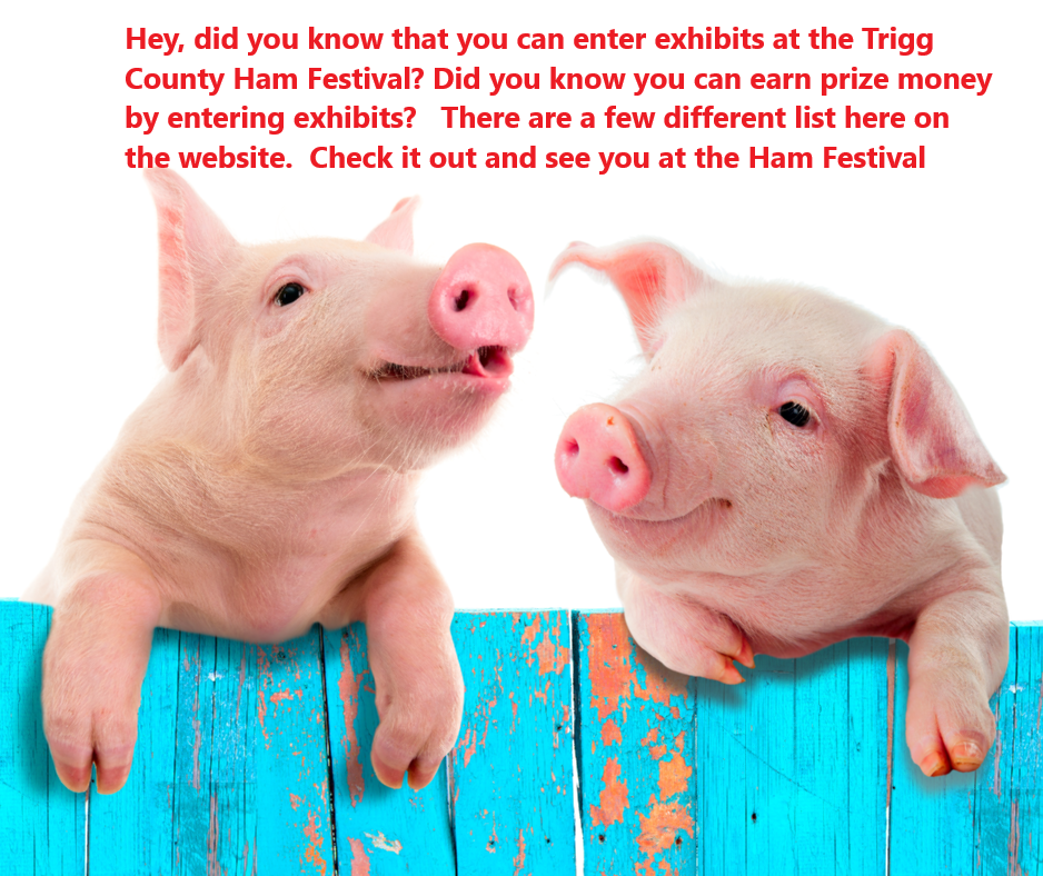 two pigs talking
